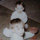 Darlene Rennie