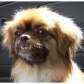 Sandy Baker's photo