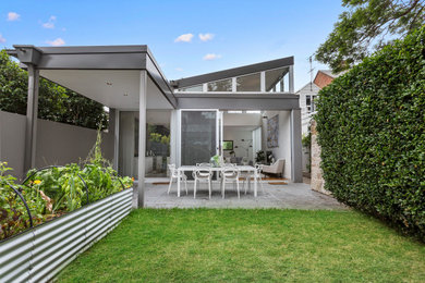 シドニーにあるコンテンポラリースタイルのおしゃれな庭の家庭菜園の写真