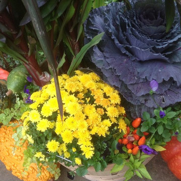 Container Gardens