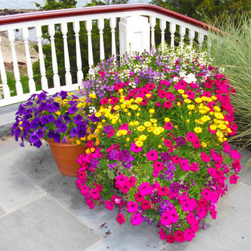 Container Gardens