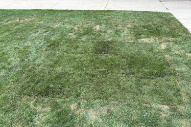 Inspiration for a landscaping in Detroit.