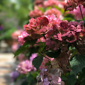 A Gentle-Woman's Estate