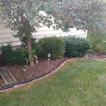 Rain Garden with Dry Stream