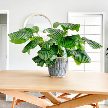 Living & Dining Room Refresh