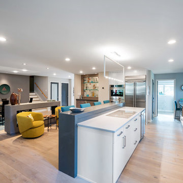 Contemporary Open Concept