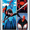 Spider-Man: Spider-Verse Panel Poster, Silver Framed Version