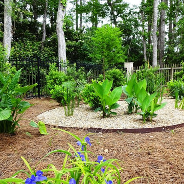 Landscape Renovation Dunes West