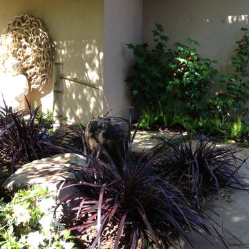 Asain Garden