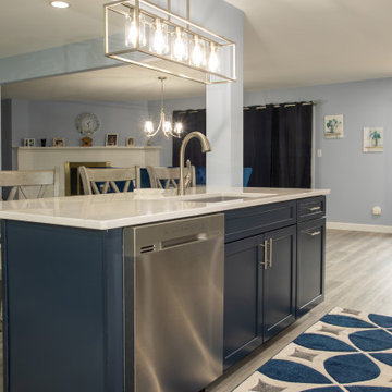 Open Concept - Main Level Renovation- FW