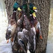 Dwayne Leonard's photo