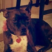 Theresa Larson's photo