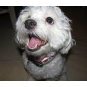 Patty Gomez's photo