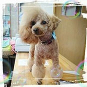Hidesato Matui's photo