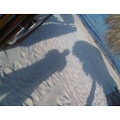 Adam Kidron's photo