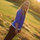 Jennifer Wessner