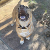 Colette Thrailkill's photo