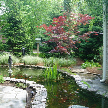Backyard Landscaping