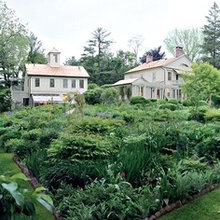 Landscape Ideas