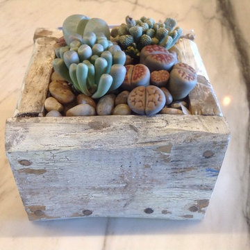 Custom Creations