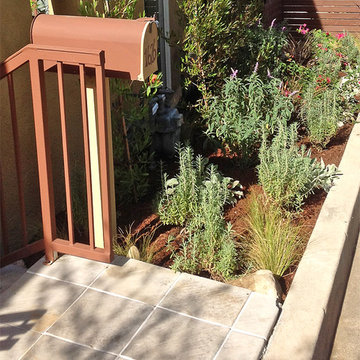 Low-Maintenance Landscape Elements--Drought-tolerant Bed
