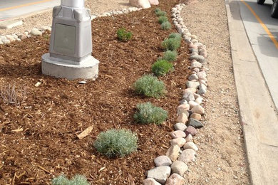 Inspiration for a southwestern landscaping in Albuquerque.