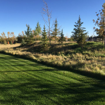 Elbow Valley