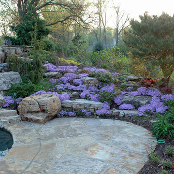 Lush Landscapes