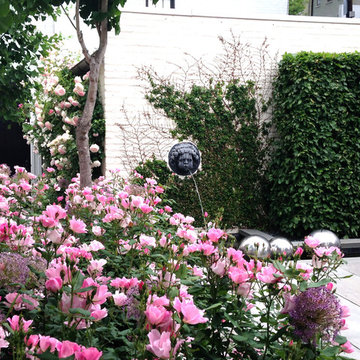 Contemporary Urban Garden