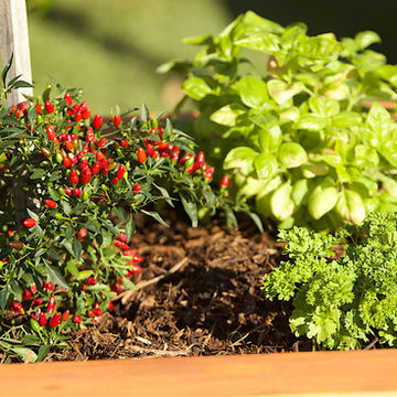 Perth Garden Festival 2018