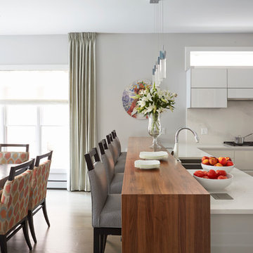 Contemporary Kitchen with Class - Wheaton, IL
