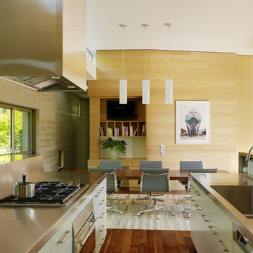 Modern Kitchen