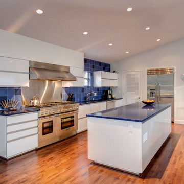 Seward Park Whole House Remodel