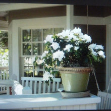 Patio-Porch