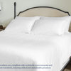 Delara GOTS 100% Organic Cotton Pillowcase Set of 2 400TC, Light Gray, Queen, 21"x32"