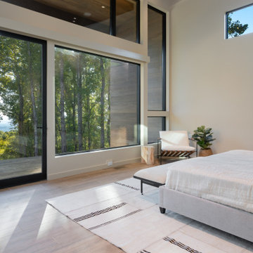 Laurel Ledge Modern