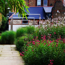 Plants We Like