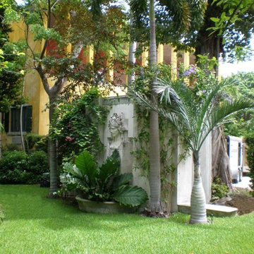 Tropical Gardens