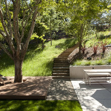 no mow grass