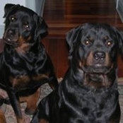 Donna Rae's photo