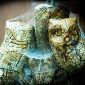 Helen Winter's photo