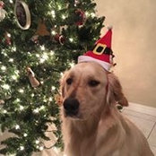 Bonnie Estroff's photo
