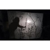 Nadia Abdelaziz's photo
