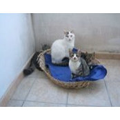 Photo de Monica Martinelli