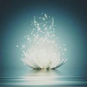 Jacqueline Er's photo