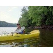 Mathew Wlodarski's photo