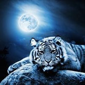 Melissa Isom-Simmons's photo