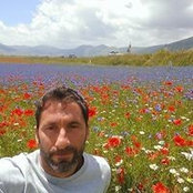 Marcello Bazzocchi's photo