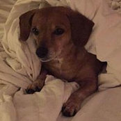 Marcia Swope's photo