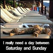 Gehane Ayads foto